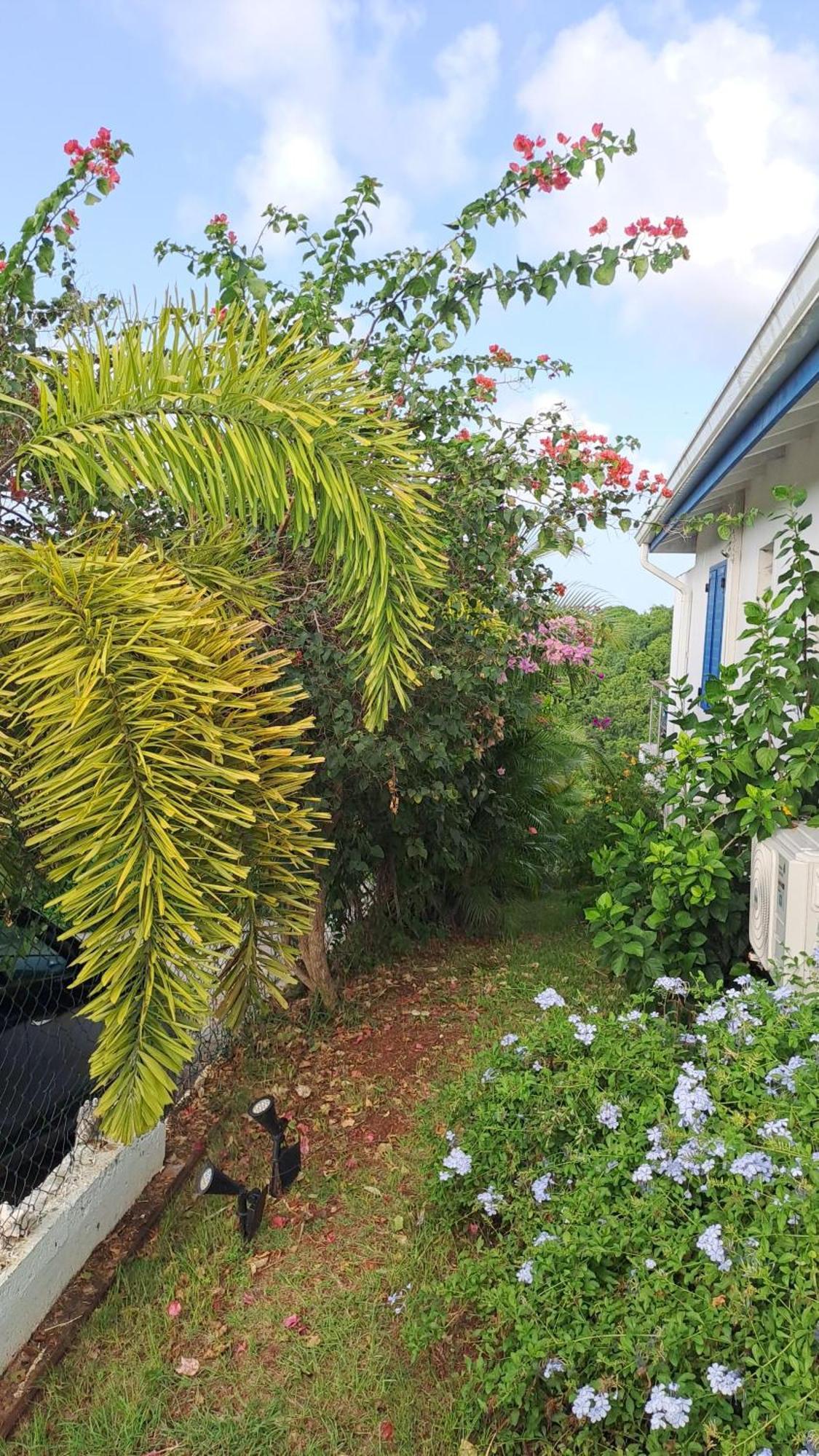 Rev Bleu Villa *